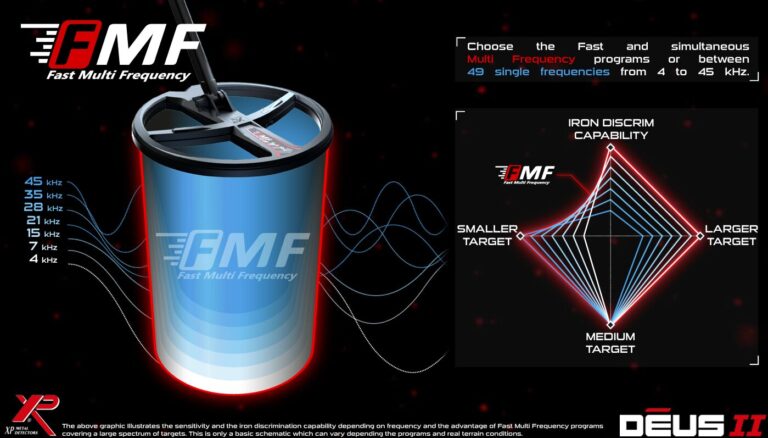 Infographic FMF – EN